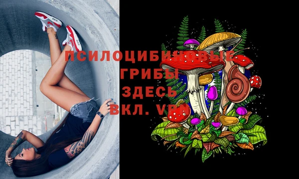 ALPHA PVP Алзамай
