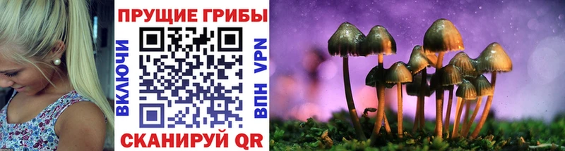 Псилоцибиновые грибы ЛСД Шадринск